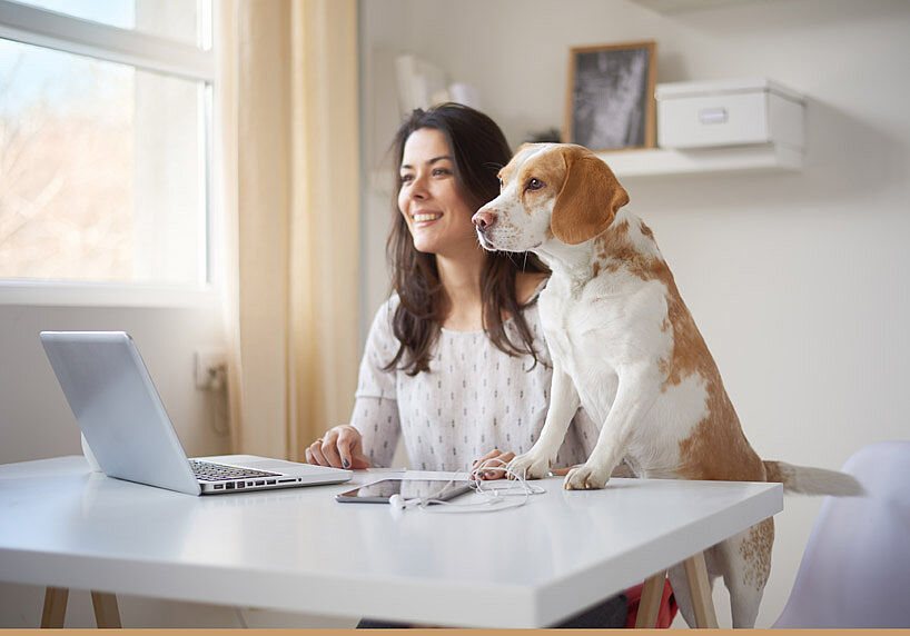 Frau arbeitet mit Hund im Home Office